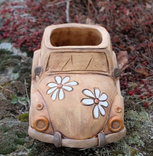 ,,beetle,, truhlík
