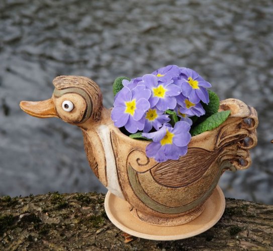 kačena - květináč